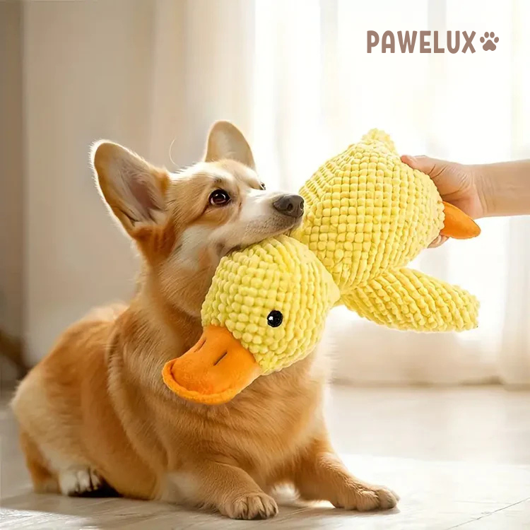 Calming Duck™ - Juguete Antiestrés para Perros